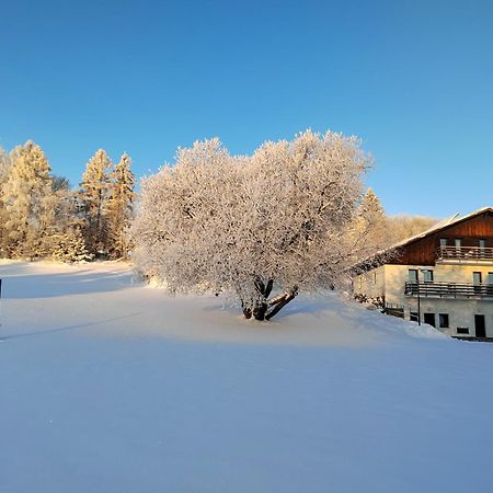 Penzion U Kovare - Vedlejsi Budova Novy Hradek Exterior foto