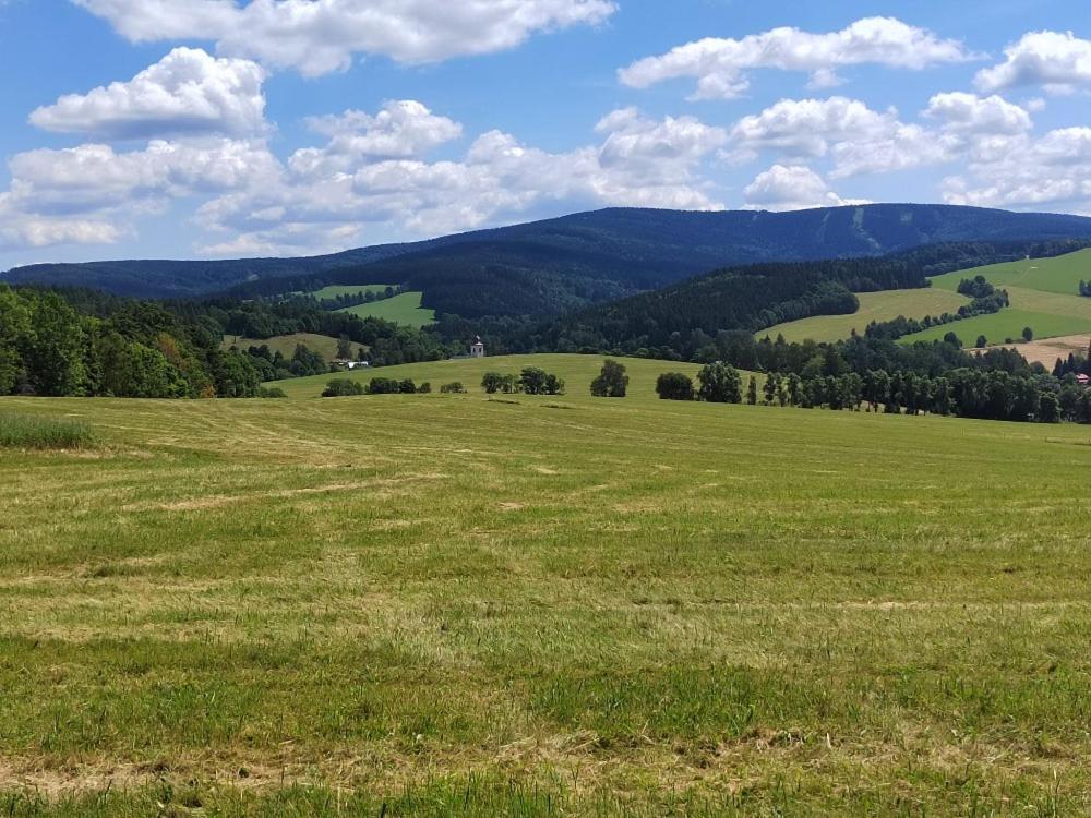 Penzion U Kovare - Vedlejsi Budova Novy Hradek Exterior foto