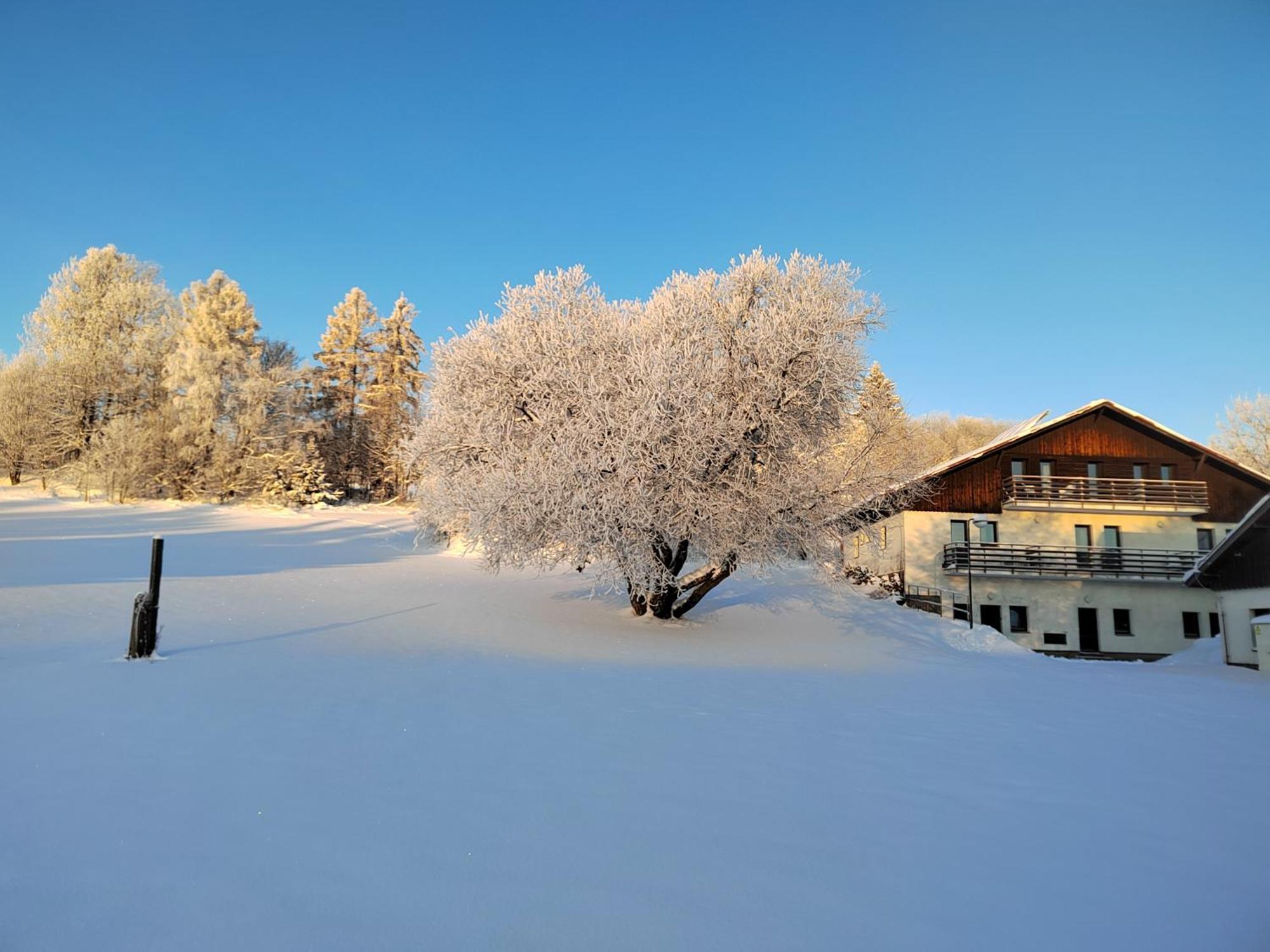 Penzion U Kovare - Vedlejsi Budova Novy Hradek Exterior foto