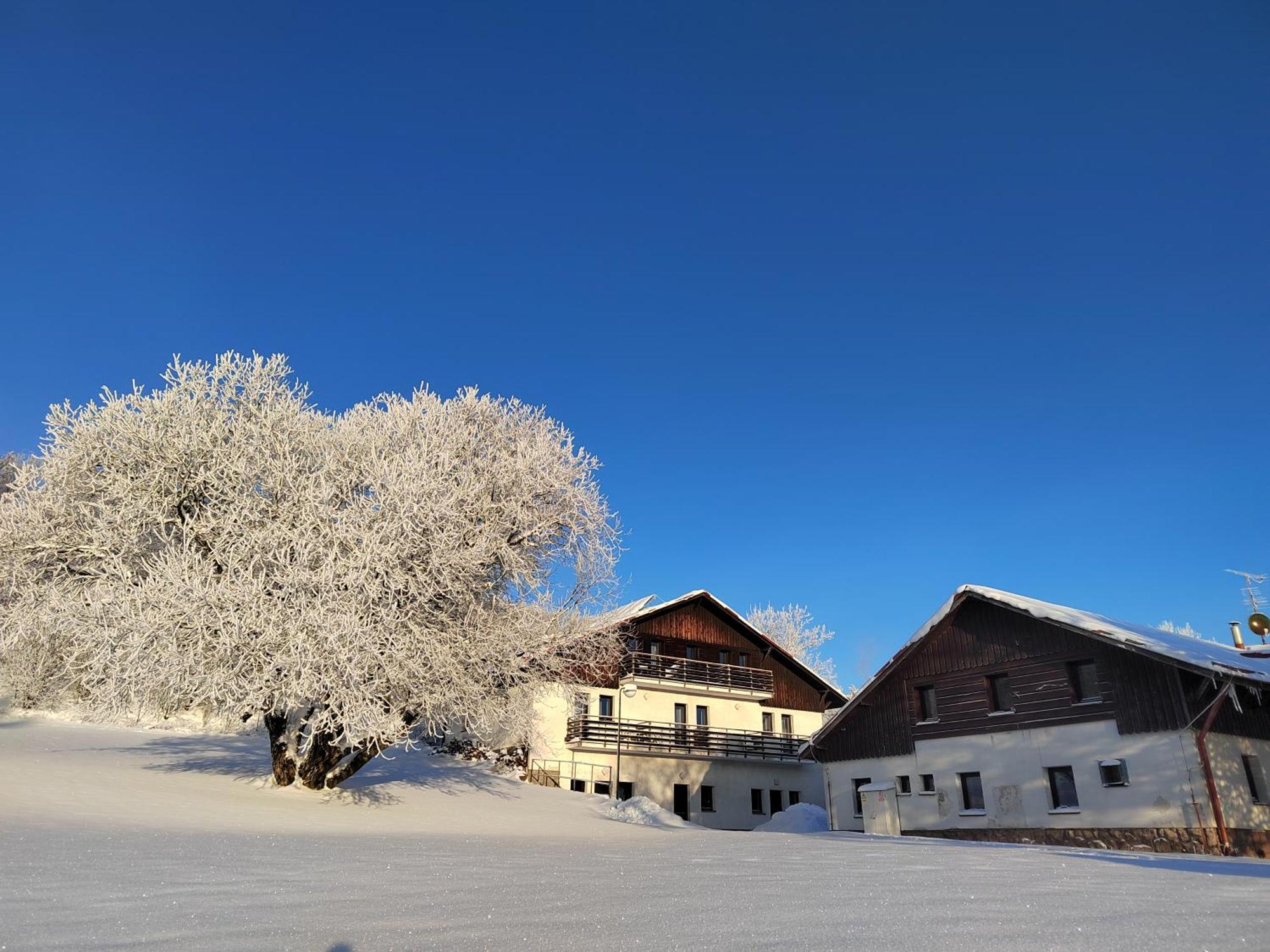 Penzion U Kovare - Vedlejsi Budova Novy Hradek Exterior foto