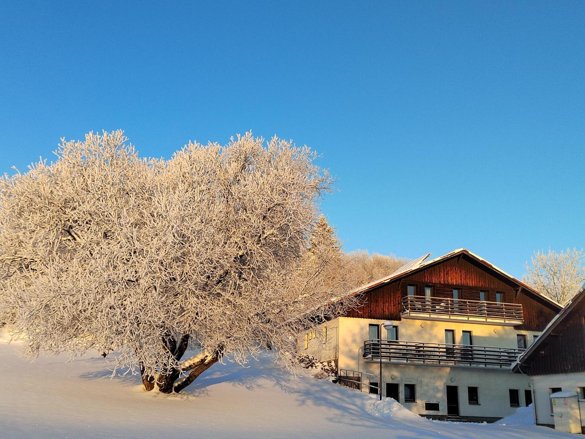 Penzion U Kovare - Vedlejsi Budova Novy Hradek Exterior foto