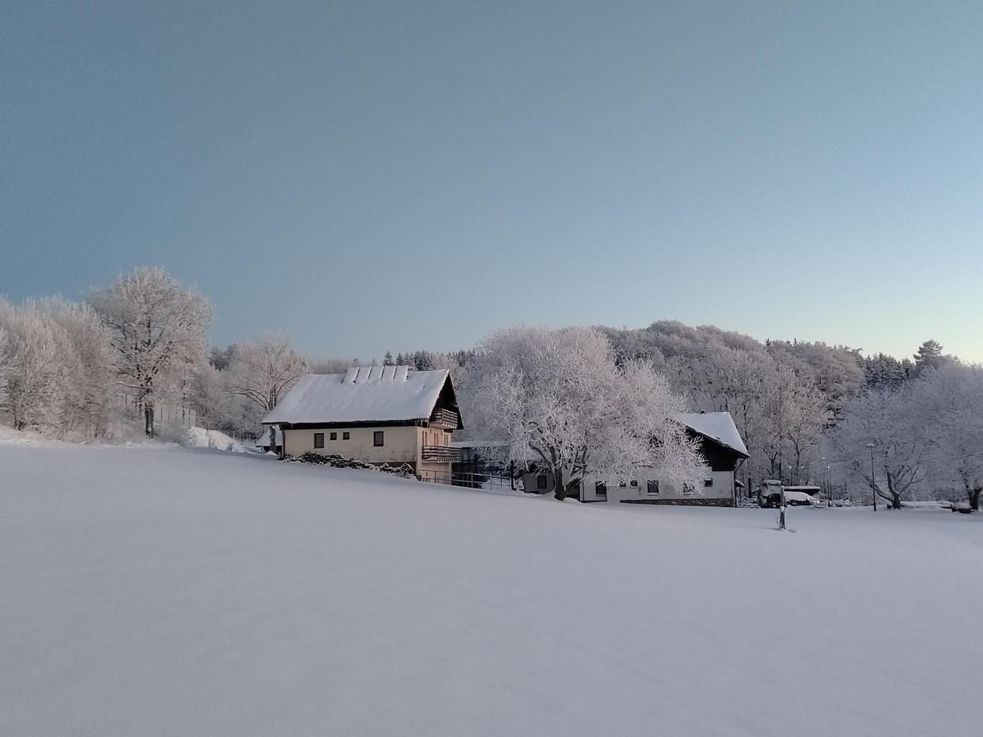 Penzion U Kovare - Vedlejsi Budova Novy Hradek Exterior foto